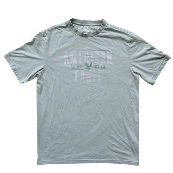 American Eagle Outfitters Soft Green T-Shirt Size Medium in GUC - Picture 1 of 5